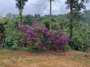 Mathew Kolady Valathoor